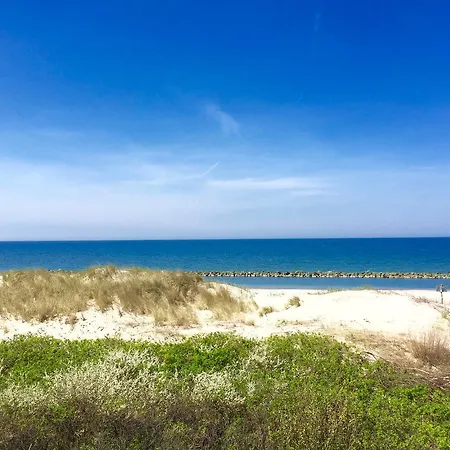 Amon Z Widokiem Na Morze *