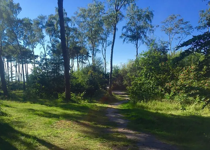 Amon Z Widokiem Na Morze Darłówko