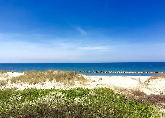 Amon Z Widokiem Na Morze *